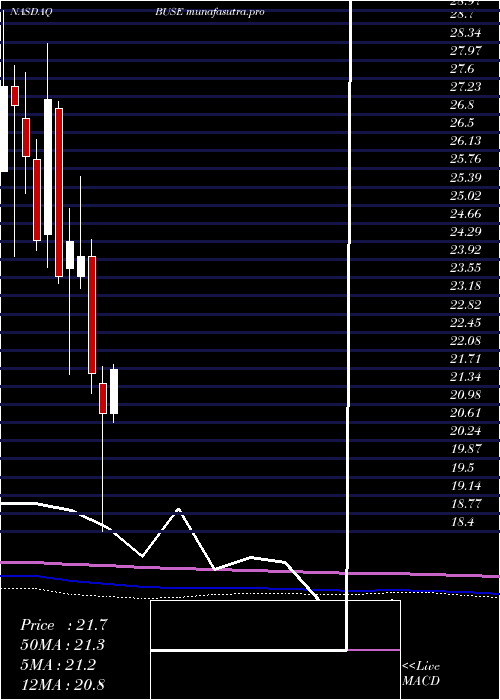 monthly chart FirstBusey