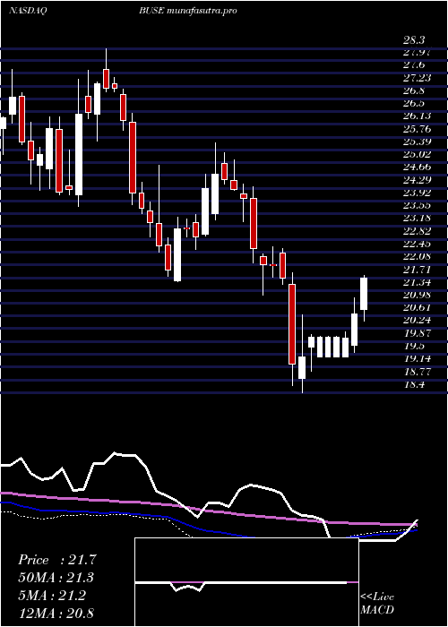 weekly chart FirstBusey