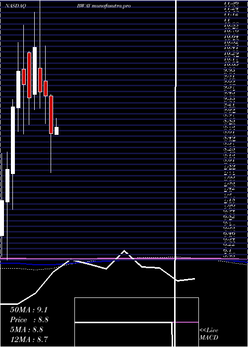 monthly chart BrainswayAdr