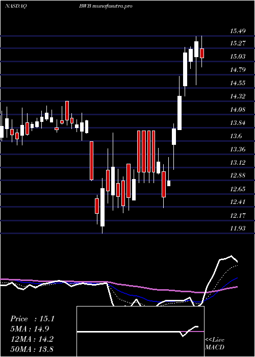 Daily chart BridgewaterBancshares