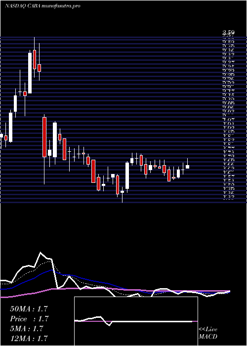 Daily chart CabalettaBio