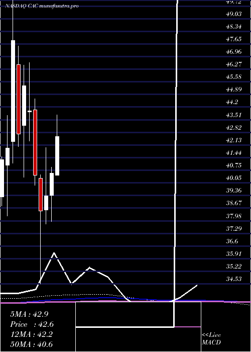 monthly chart CamdenNational