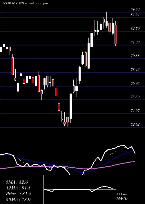 Daily chart MetaFinancial
