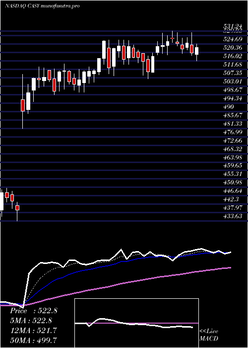  Daily chart CaseysGeneral