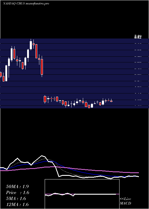 Daily chart CibusCorp