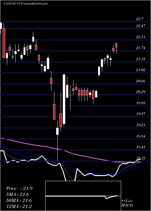 Daily chart CalamosDynamic