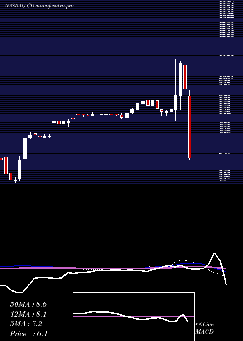 weekly chart ChindataGroup