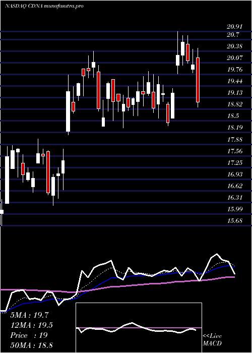 Daily chart CaredxInc