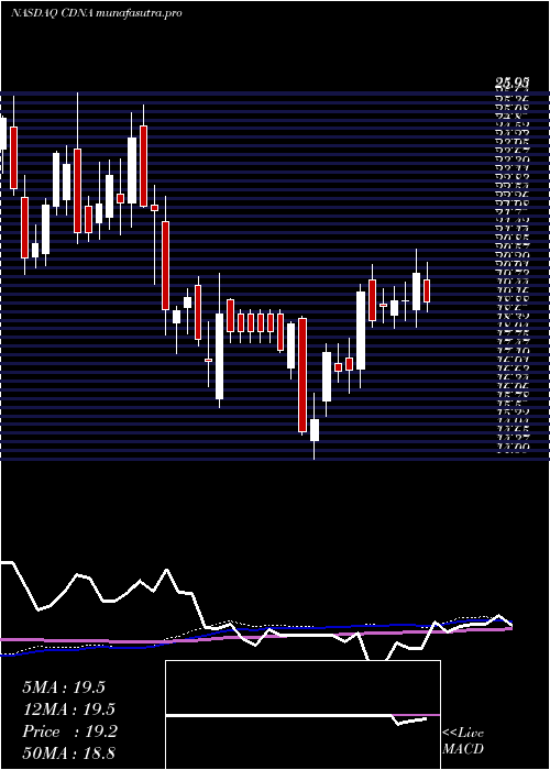 weekly chart CaredxInc