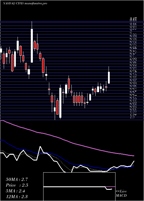 Daily chart CodexisInc