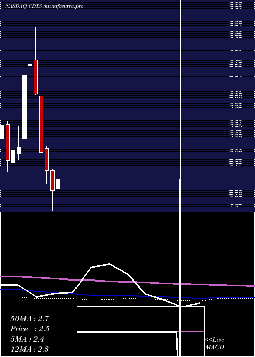 monthly chart CodexisInc