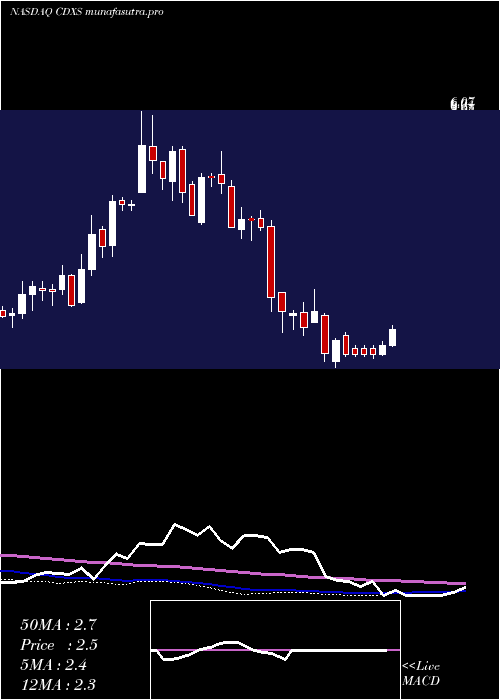 weekly chart CodexisInc