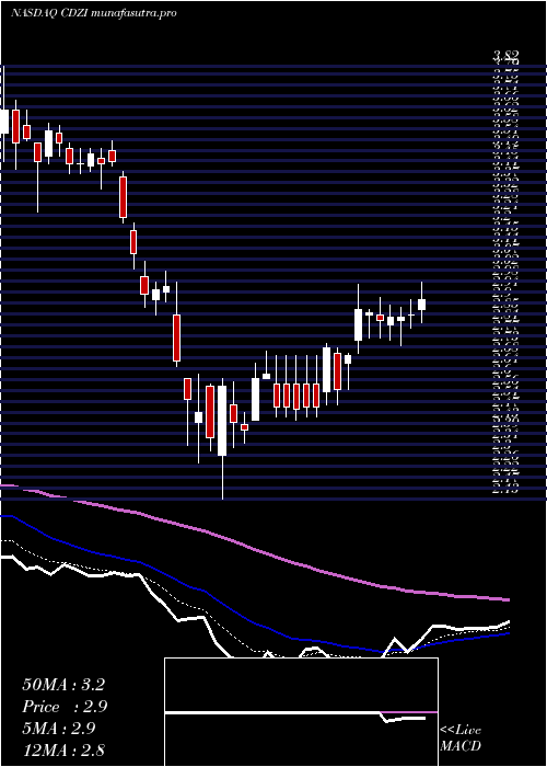 Daily chart CadizInc