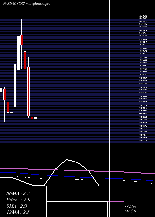 monthly chart CadizInc