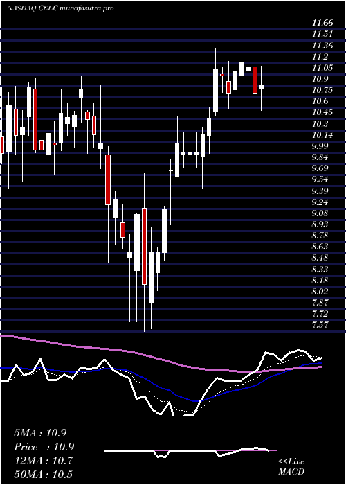 Daily chart CelcuityInc