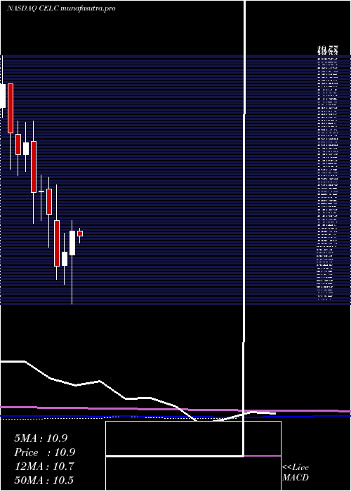 monthly chart CelcuityInc