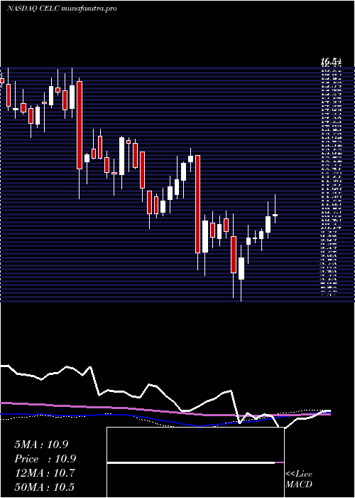 weekly chart CelcuityInc