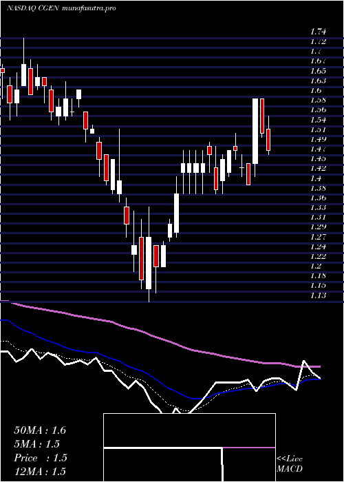 Daily chart Compugen