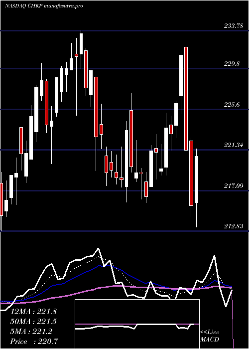 Daily chart CheckPoint