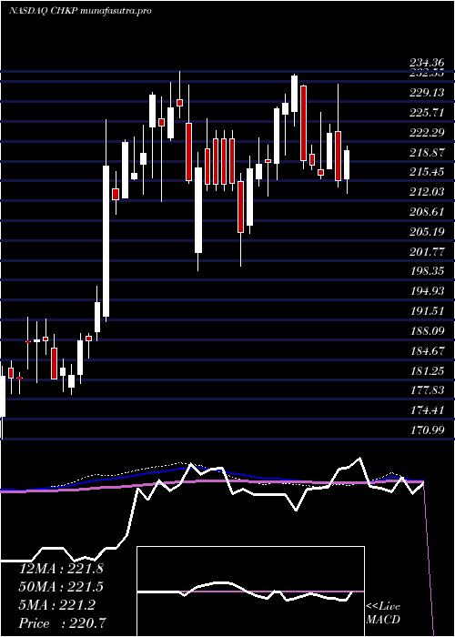 weekly chart CheckPoint