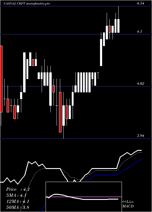 Daily chart CheckpointTherapeutics