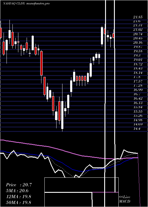 Daily chart CelldexTherapeutics