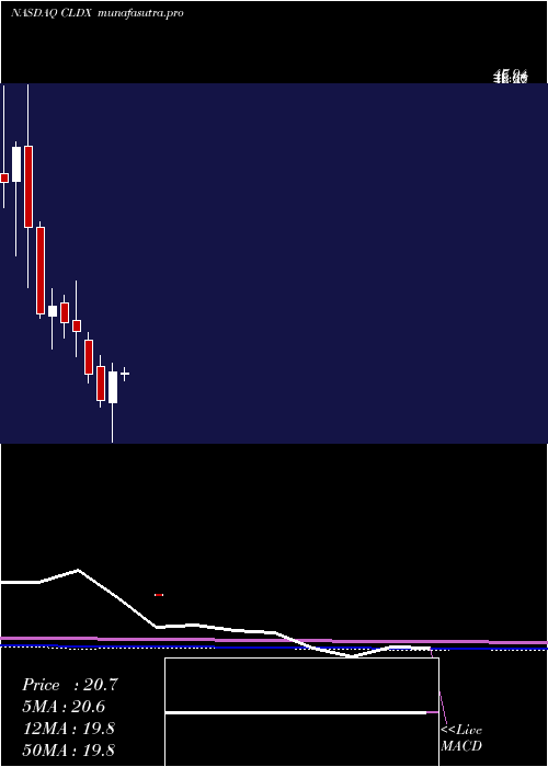 monthly chart CelldexTherapeutics