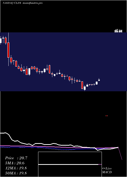 weekly chart CelldexTherapeutics