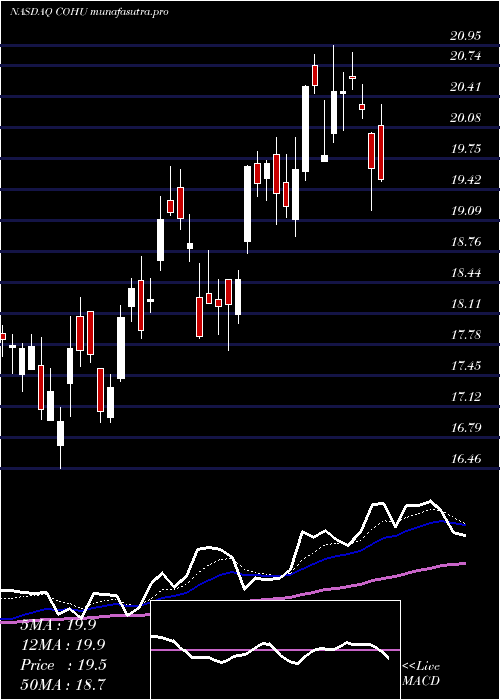 Daily chart CohuInc