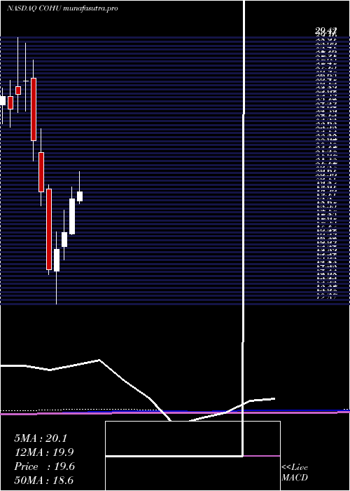 monthly chart CohuInc