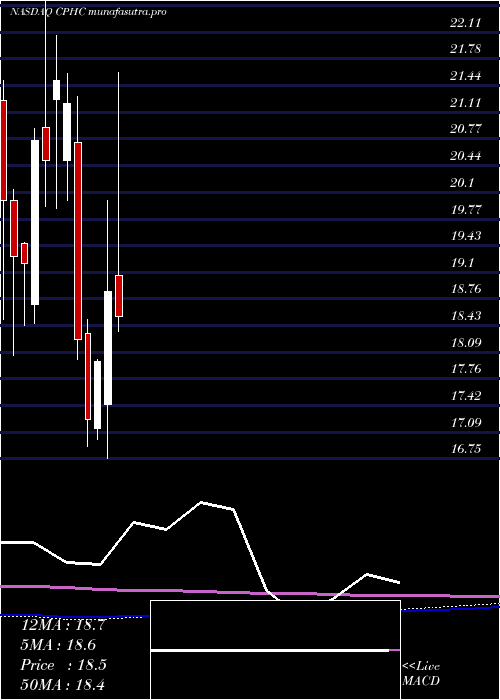 monthly chart CanterburyPark
