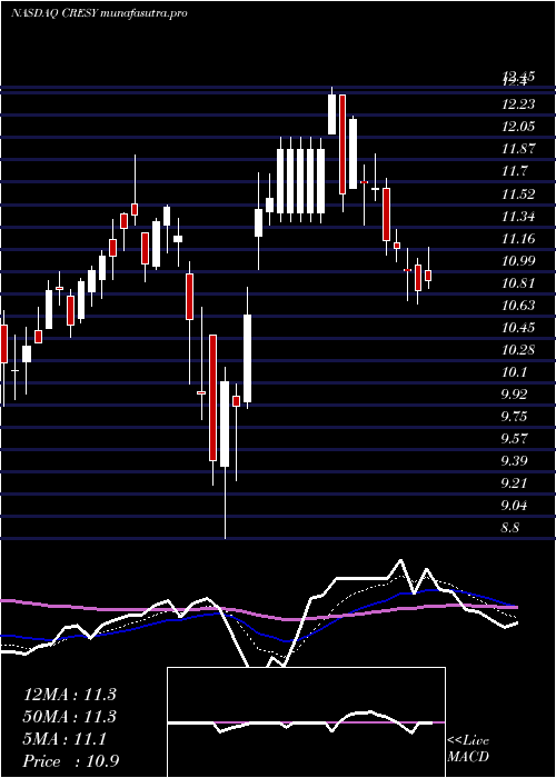 Daily chart CresudS
