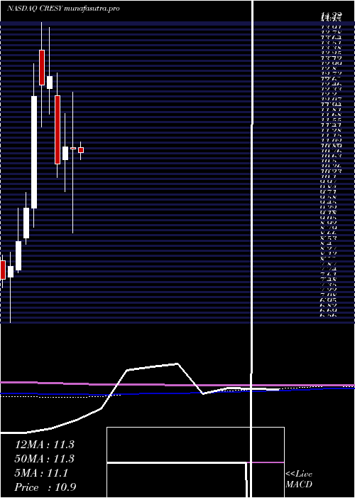 monthly chart CresudS