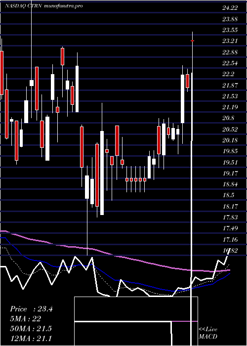 Daily chart CitiTrends