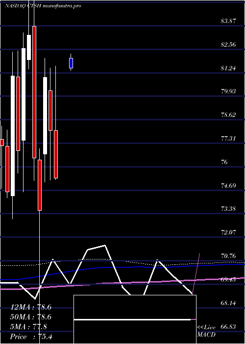 monthly chart CognizantTechnology