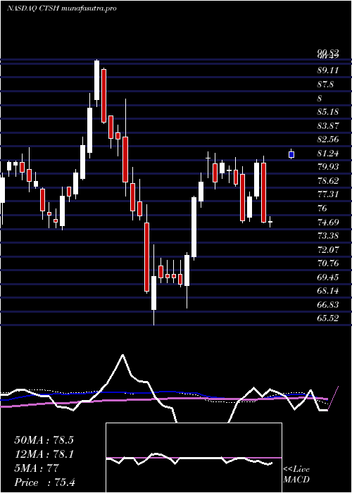 weekly chart CognizantTechnology