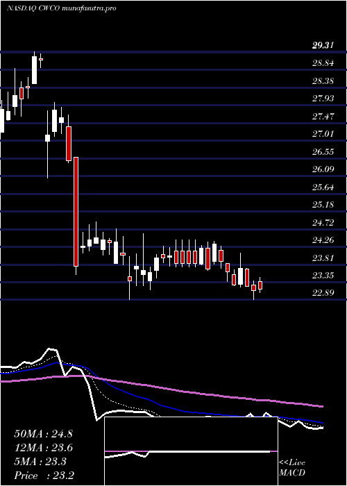 Daily chart ConsolidatedWater