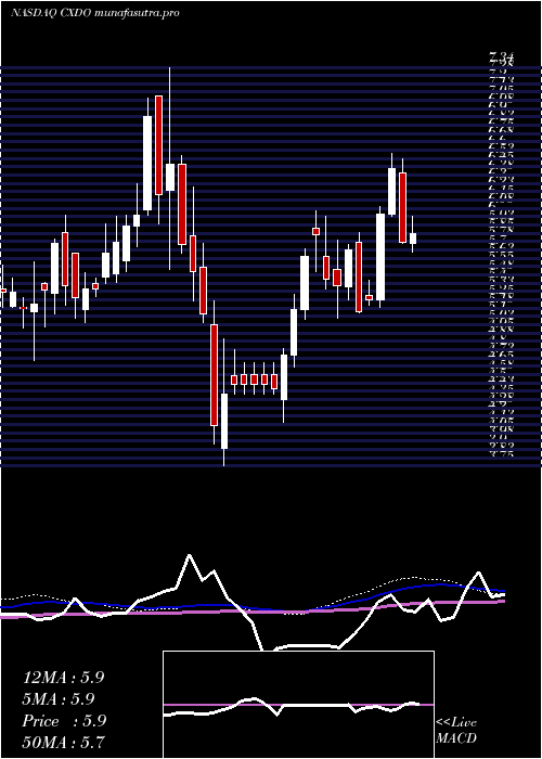 weekly chart CrexendoInc
