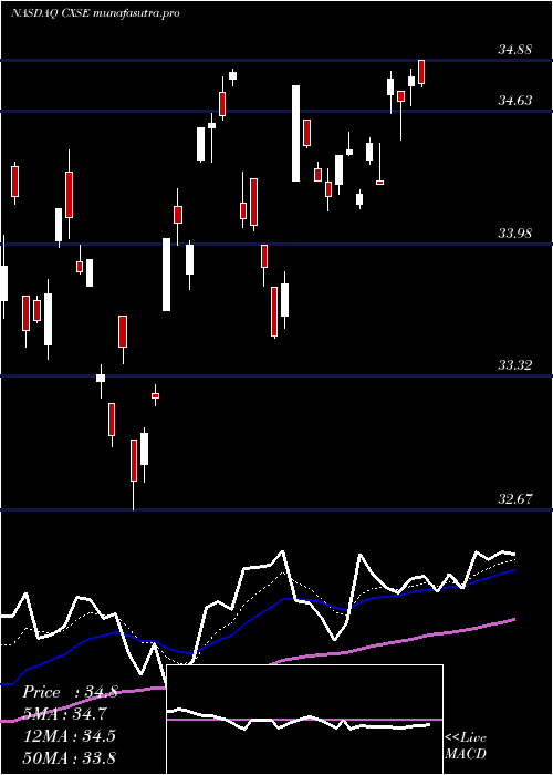  Daily chart WisdomtreeChina