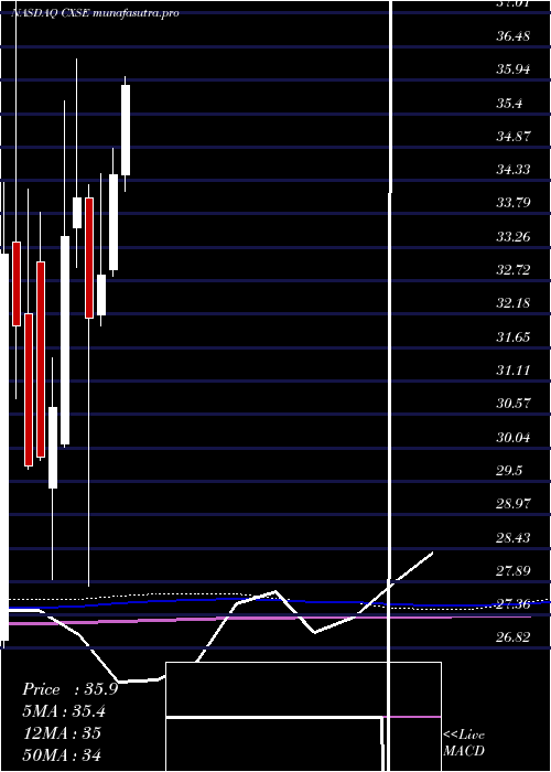  monthly chart WisdomtreeChina