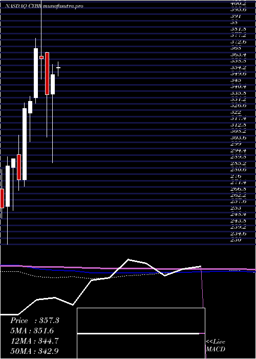 monthly chart CyberarkSoftware
