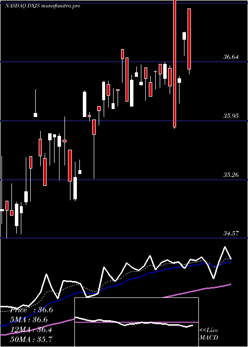  Daily chart WisdomtreeJapan