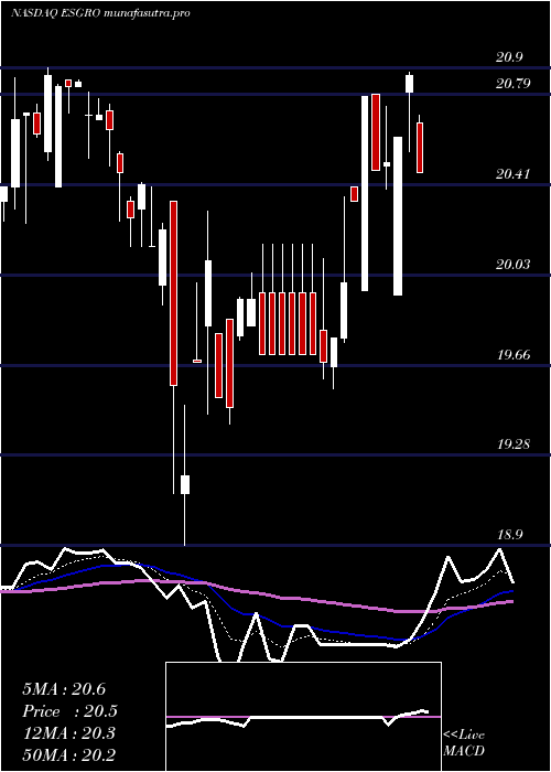 Daily chart EnstarGroup