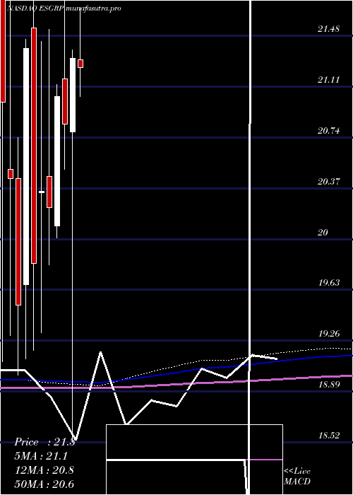 monthly chart EnstarGroup