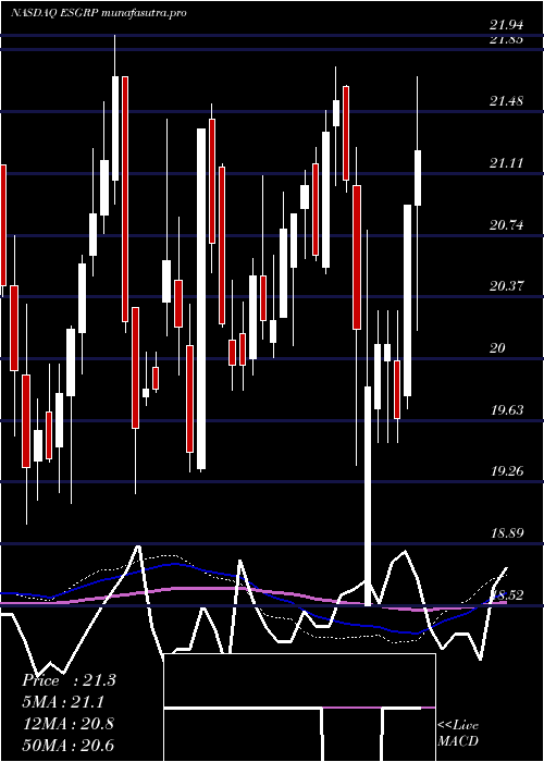 weekly chart EnstarGroup
