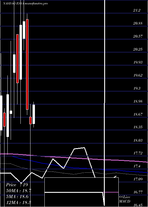 monthly chart EssaBancorp