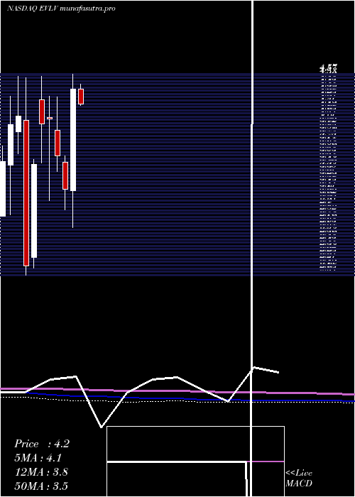 monthly chart EvineLive