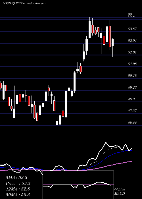 Daily chart FirstBusiness