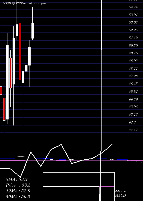 monthly chart FirstBusiness