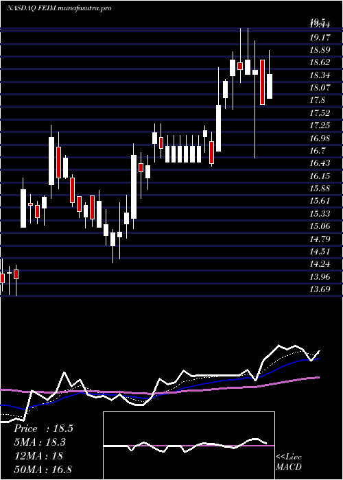 Daily chart FrequencyElectronics